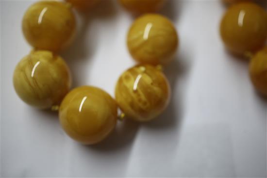 A single strand circular amber bead necklace with 18ct gold ball clasp, 50cm.